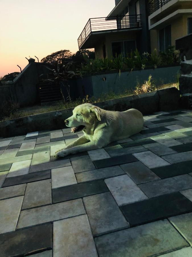 Royal Meadows - Igatpuri Bungalow B Dış mekan fotoğraf